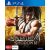 Game Disc PS4 Samurai Shodown